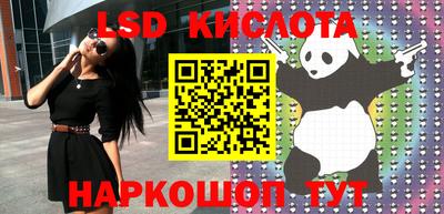 крисы Берёзовский