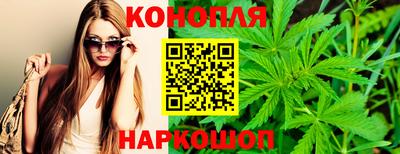крисы Берёзовский