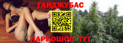 крисы Берёзовский